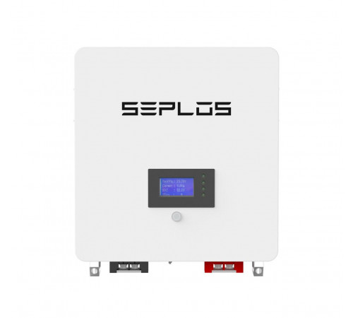 Акумулятор (ESS) Seplos Nile-24-100 2.56 kWh, 25.6 V, 100 Ah LiFePO4
