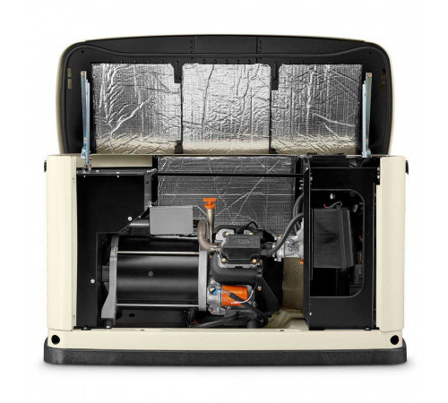 Газовий генератор Generac 7145 (однофазний) 10 кВт