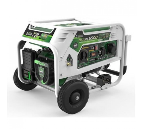 Генератор бензин - газ GENERGY NATURA 5000 5,5 /5 кВт
