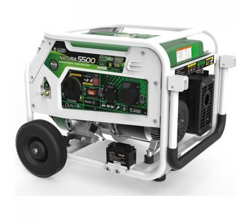 Генератор бензин - газ GENERGY NATURA 5000 5,5 /5 кВт
