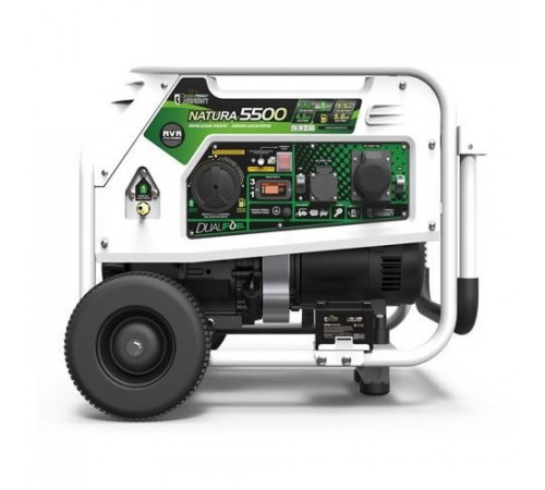 Генератор бензин - газ GENERGY NATURA 5000 5,5 /5 кВт