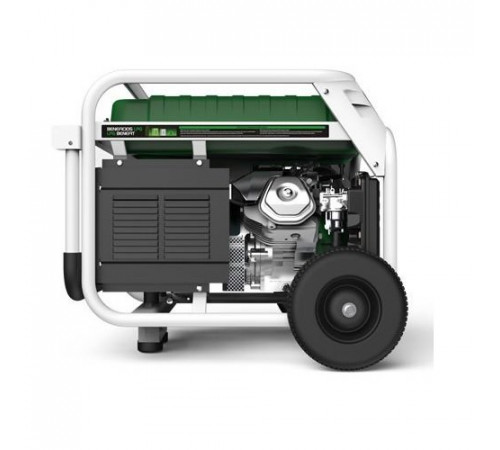 Генератор бензин - газ GENERGY NATURA 5000 5,5 /5 кВт