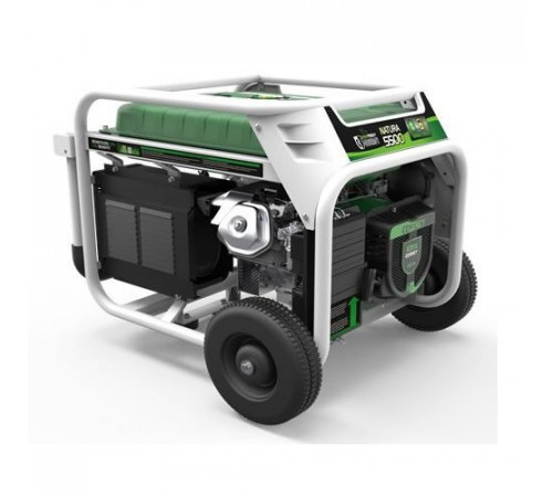 Генератор бензин - газ GENERGY NATURA 5000 5,5 /5 кВт