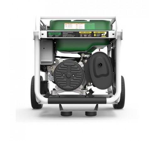 Генератор бензин - газ GENERGY NATURA 3000 3/2,6 кВт