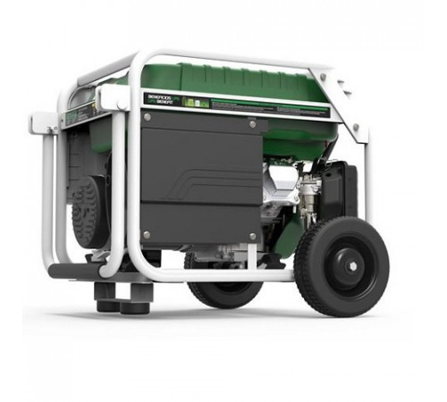 Генератор бензин - газ GENERGY NATURA 3000 3/2,6 кВт