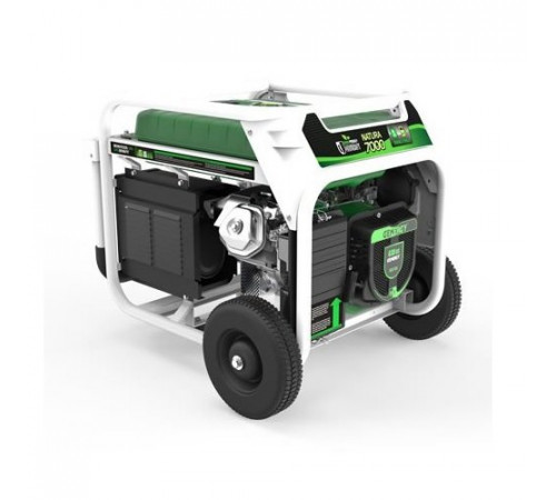Генератор бензин - газ GENERGY NATURA 7000 7 / 6 кВт