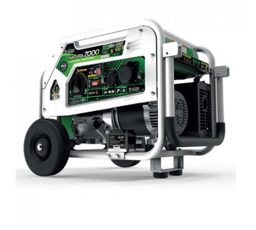 Генератор бензин - газ GENERGY NATURA 7000 7 / 6 кВт