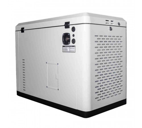 Генератор газовий EnerSol ENNG-13000SATS