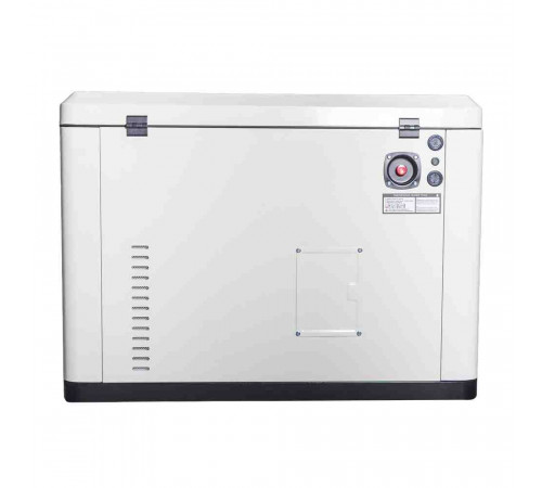 Генератор газовий EnerSol ENNG-13000TATS