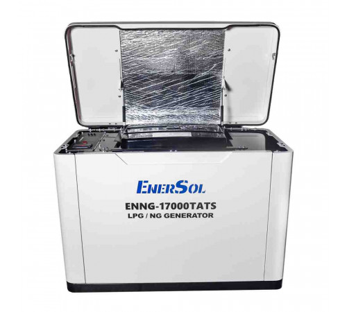 Генератор газовий EnerSol ENNG-17000TATS
