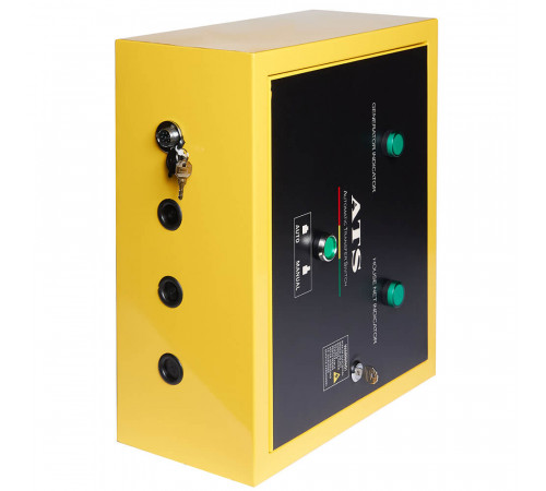 Генератор бензиновий EnerSol EPG-11000SEA