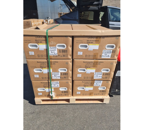 Акумуляторна батарея Biom Professional 48В (51.2В) BALFP-512100-V1 5120Втч