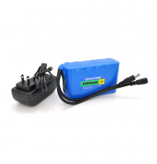 Аккумуляторная батарея литиевая QiSuo 24V 6A с элементами Li-ion 18650+ зарядное устройство 25.2V1A, DC5.5x2.1, (112x38x70mm)