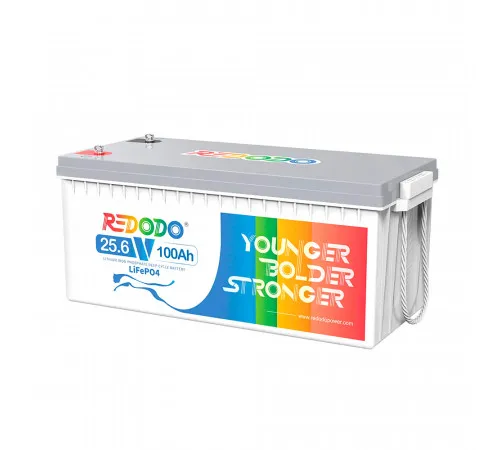 Аккумуляторная батарея Redodo 24V 100Ah 2560Wh LiFePO4 (100/100A)(532*207*215)